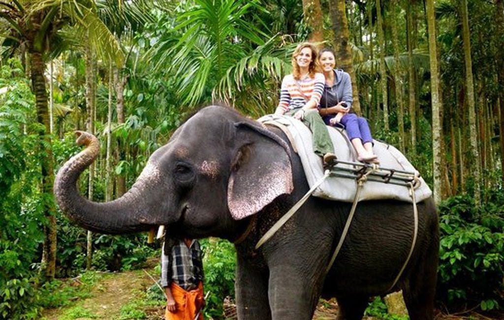 elephant back safari in india