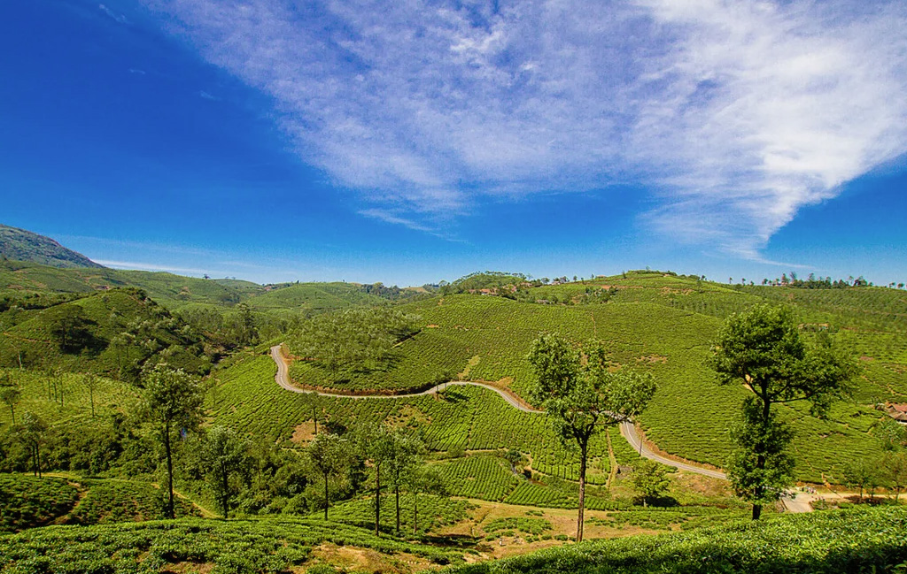 tourist spots in kuttikkanam