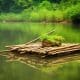 Bamboo rafting